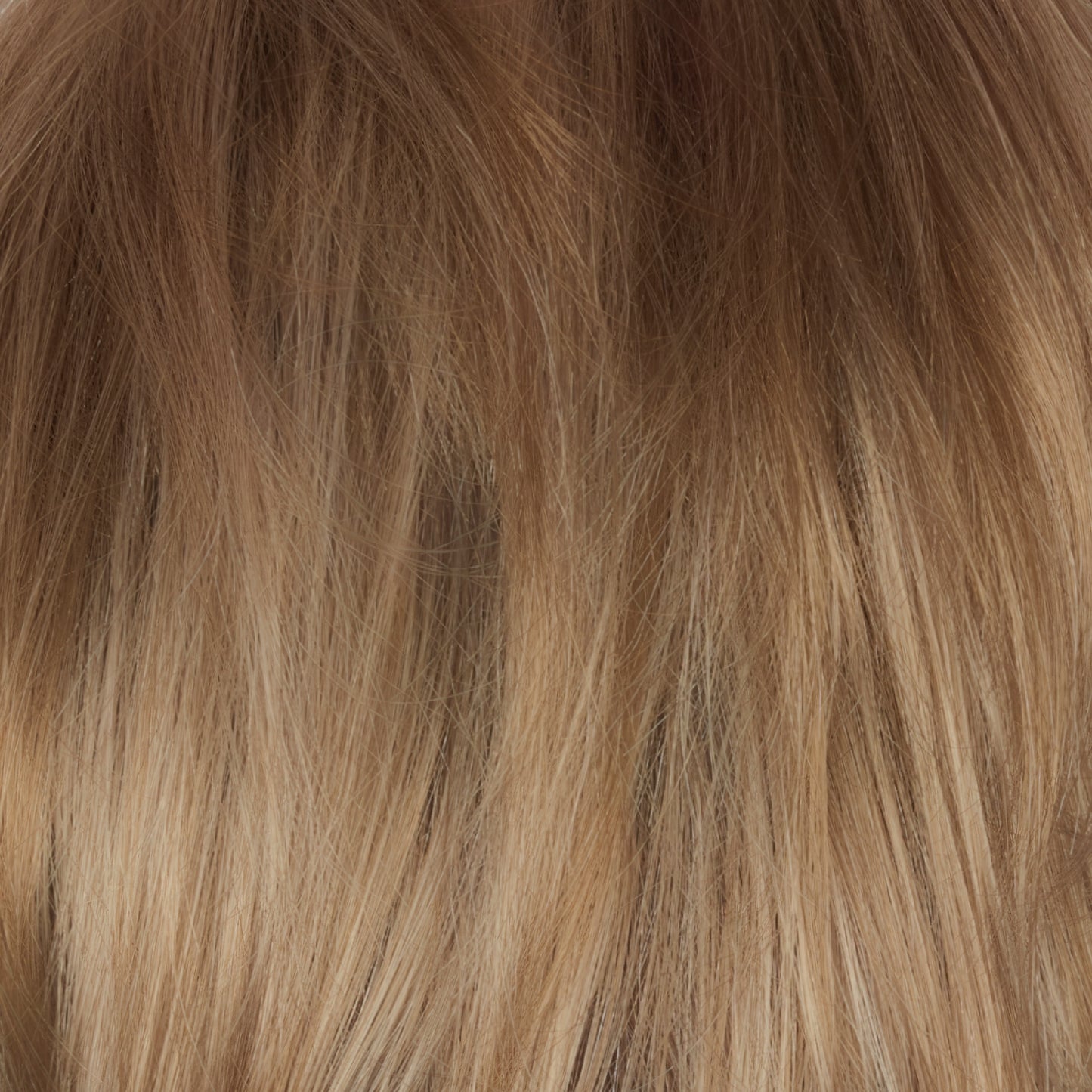 Phillipa Wig- 6549  The Orchid Collection