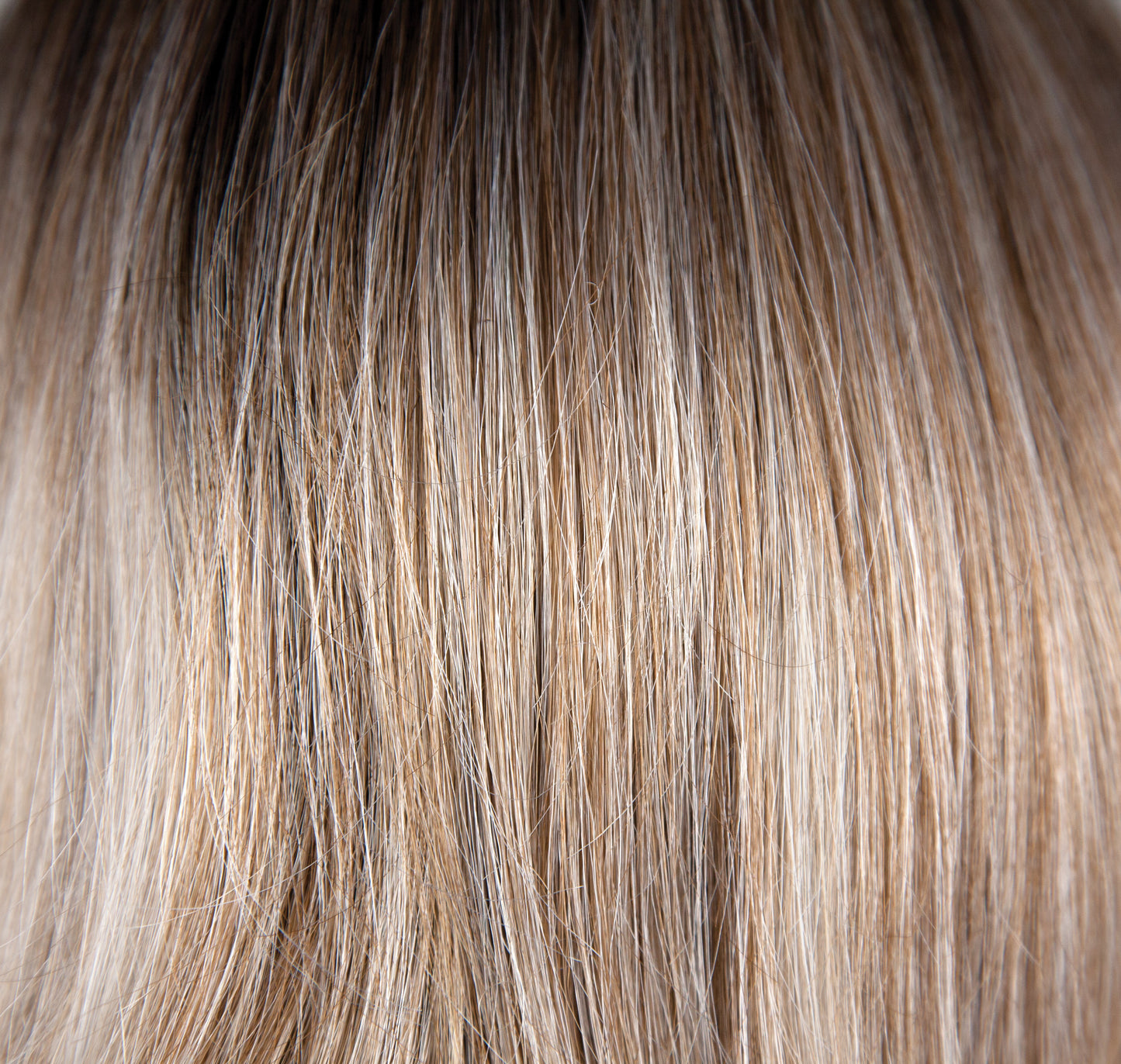 Phillipa Wig- 6549  The Orchid Collection