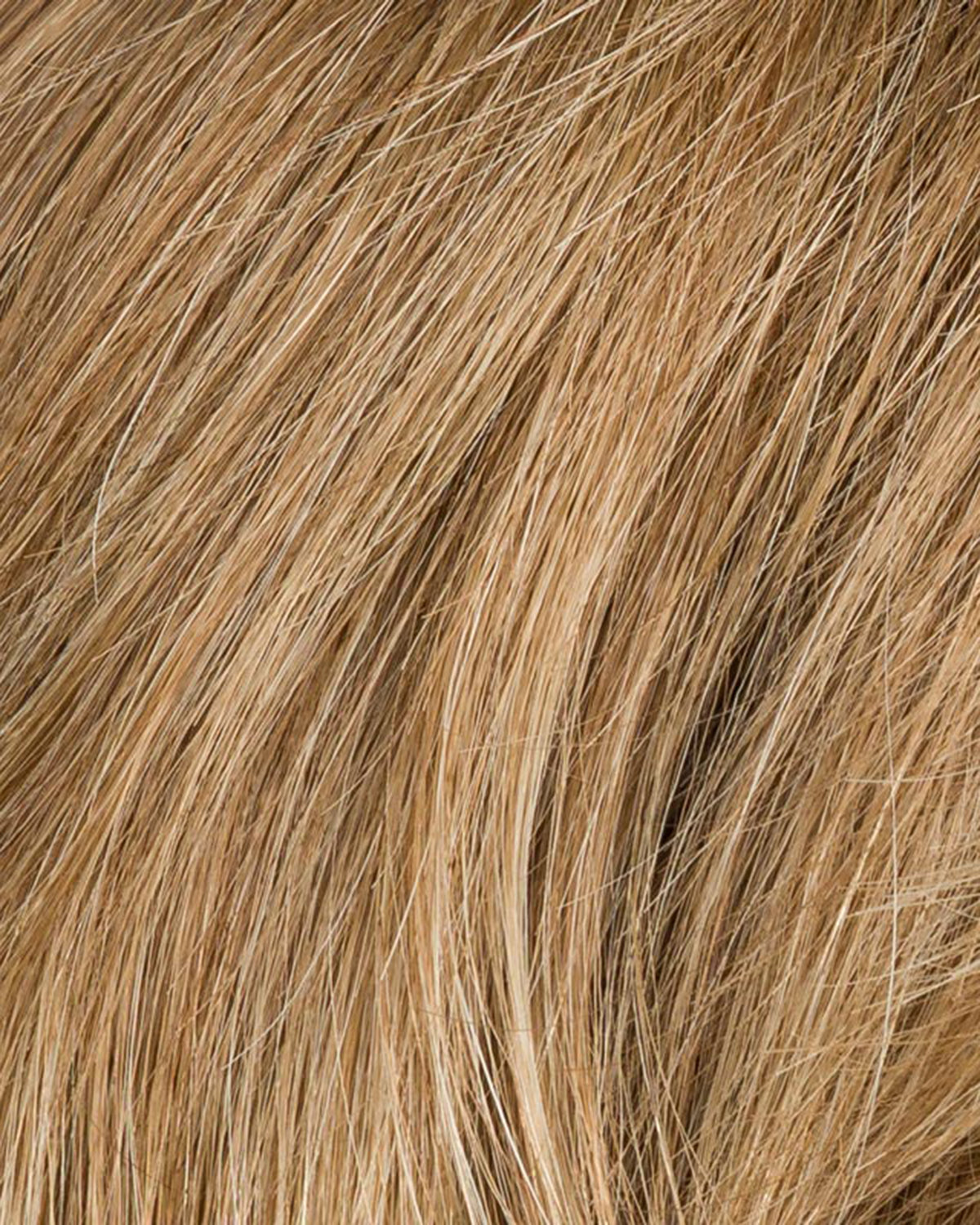SAND ROOTED 14.26.12 | Medium Ash Blonde, Light Golden Blonde, and Lightest Brown Blend 
