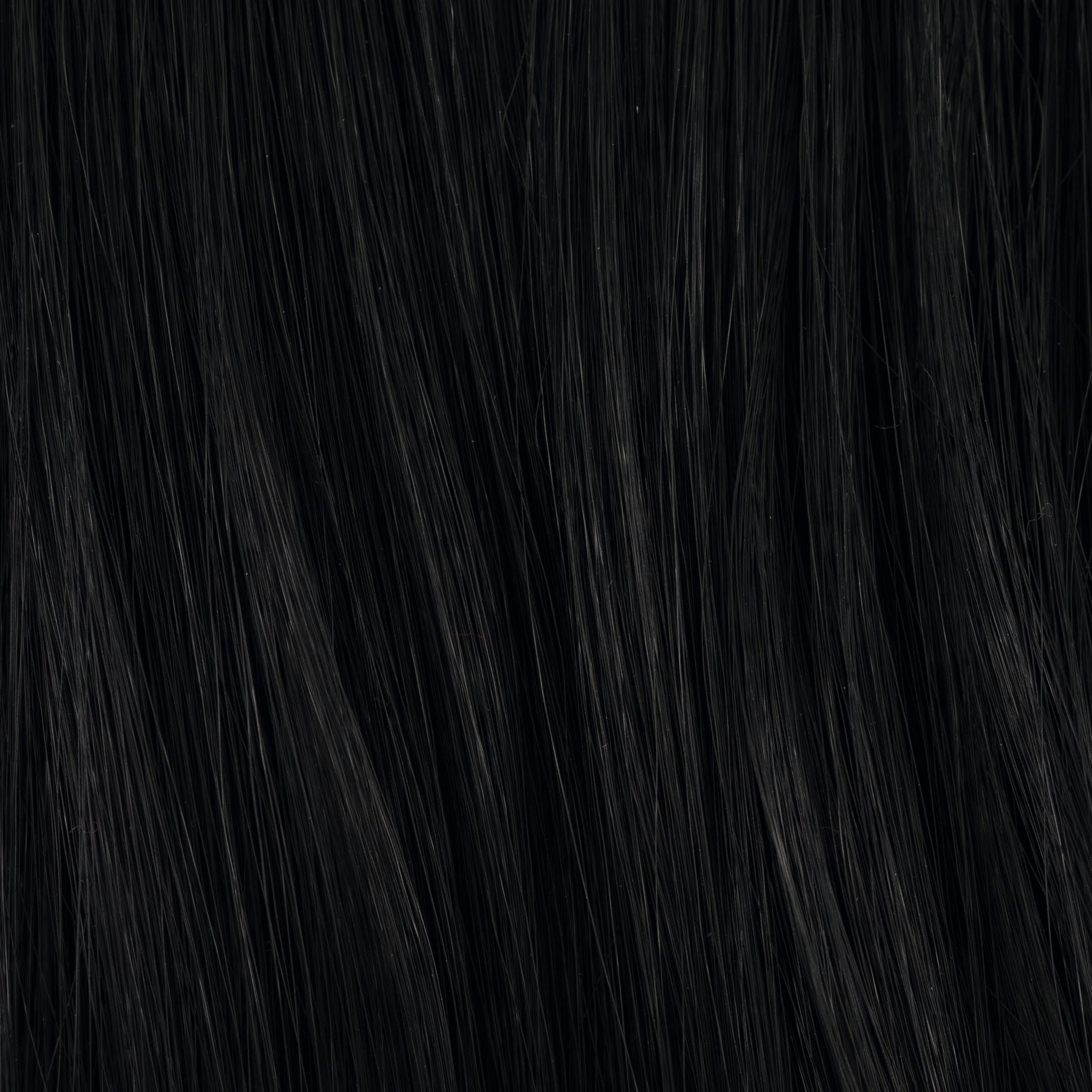BLACK 1.2 | Black and Brown Blend