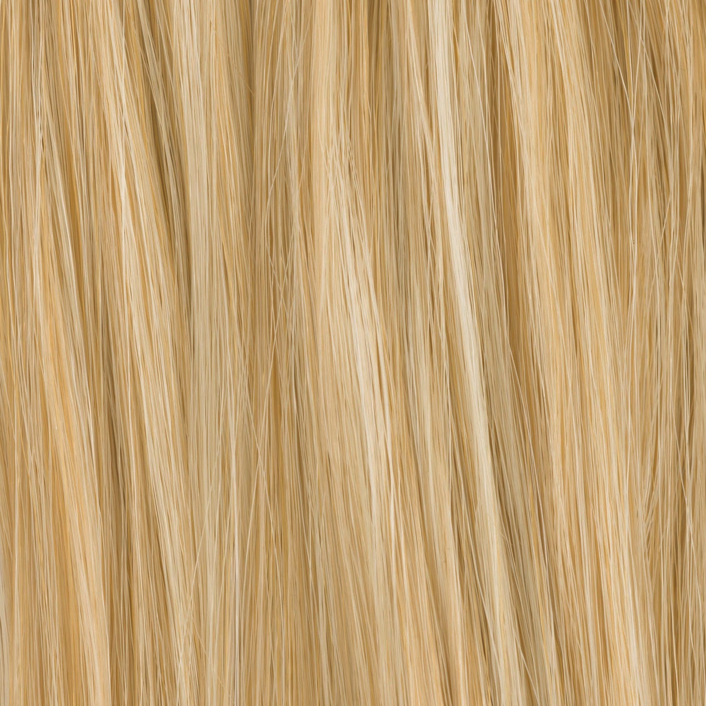 CHAMPAGNE MIX 25.26.19 | Lightest and Light Golden Blonde with Light Honey Blonde Blend 
