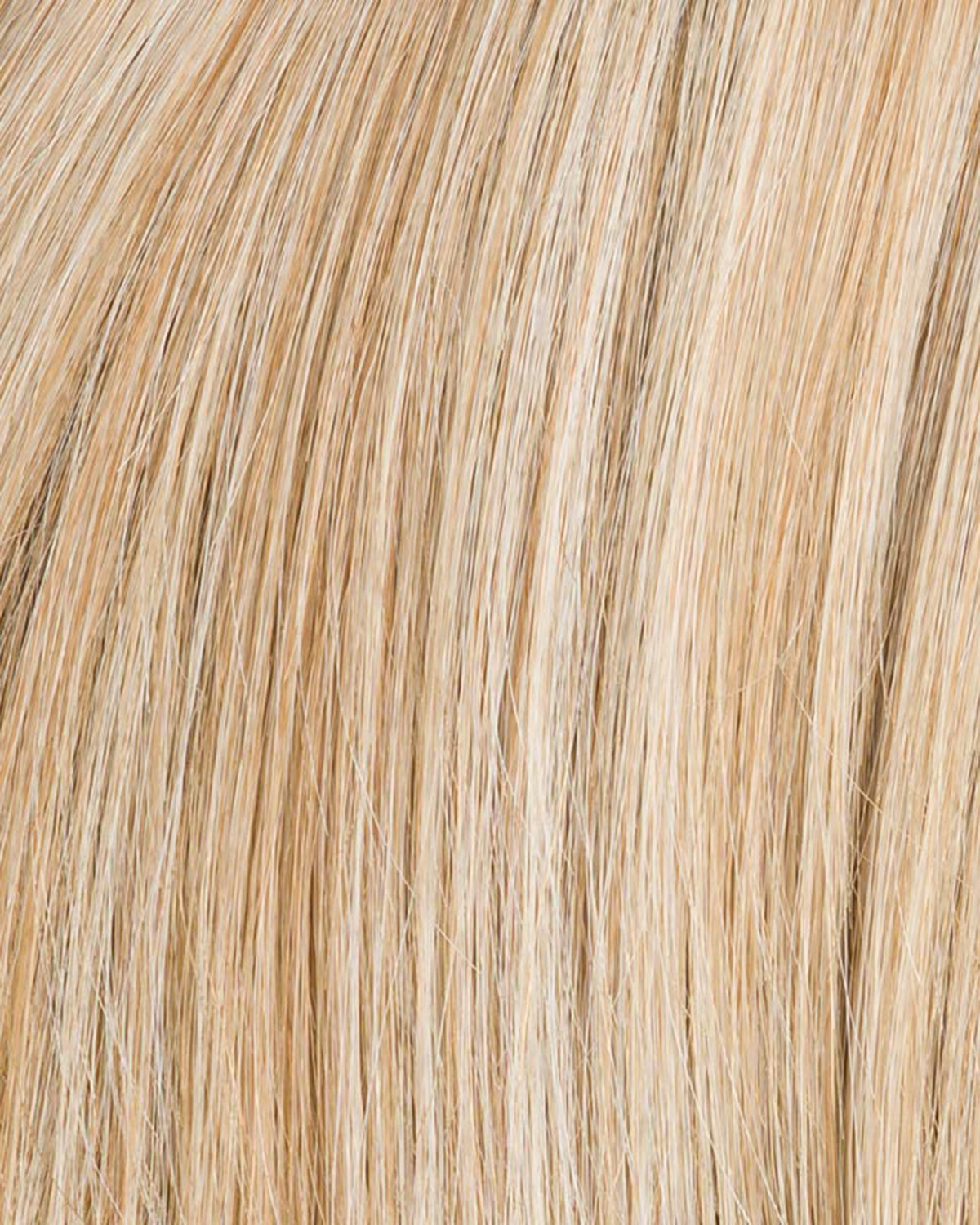CHAMPAGNE ROOTED 22.16.25 | Light Neutral Blonde and Medium Blonde with Lightest Golden Blonde Blend and Shaded Roots