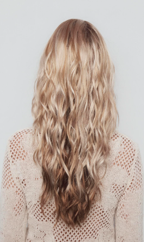 Phillipa Wig- 6549  The Orchid Collection