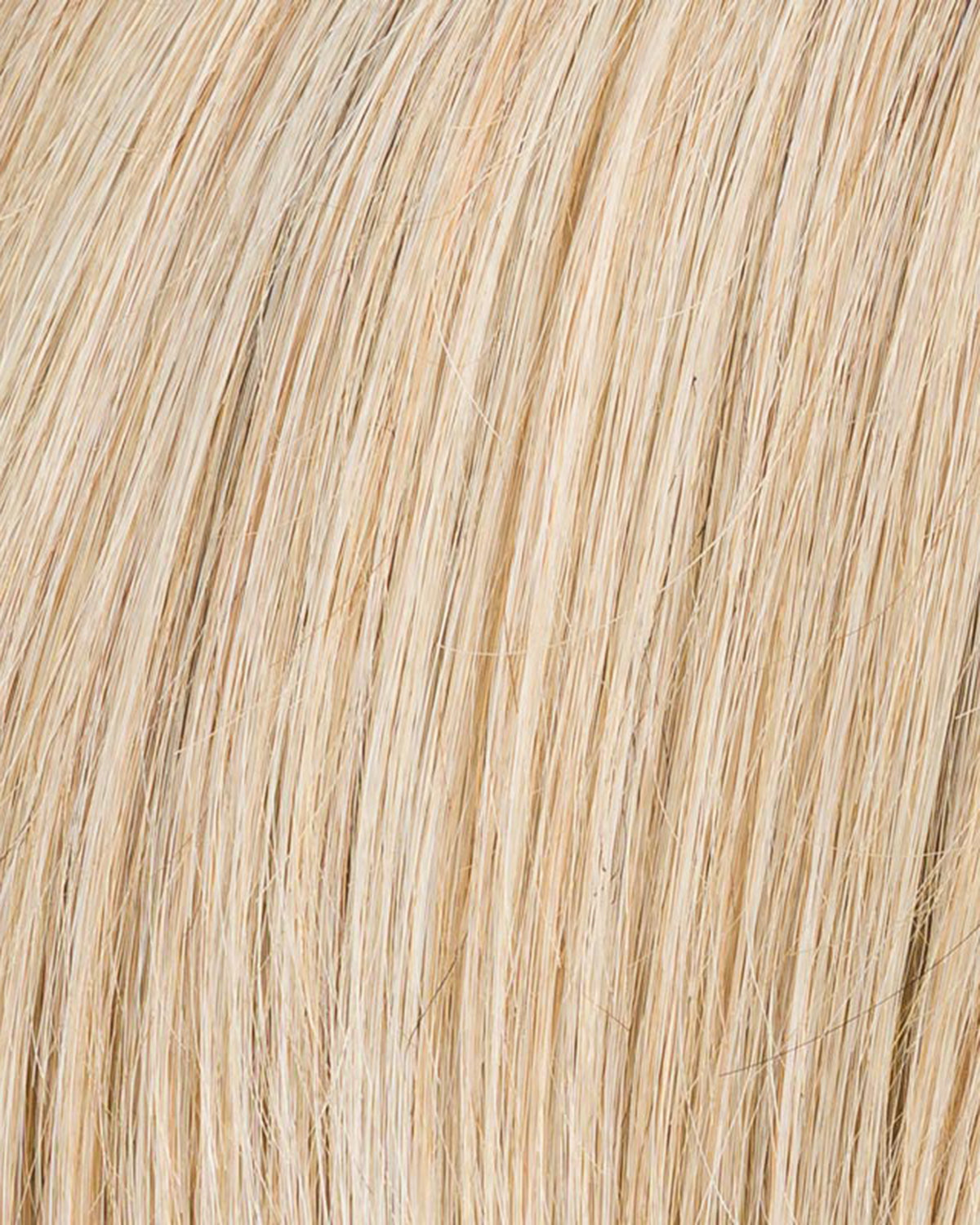 CHAMPAGNE ROOTED 22.16.25 | Light Neutral Blonde and Medium Blonde with Lightest Golden Blonde Blend and Shaded Roots