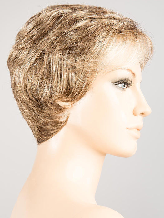 DARK SAND MIX 12.24.14 | Lightest Brown and Lightest Ash Blonde with Medium Ash Blonde Blend