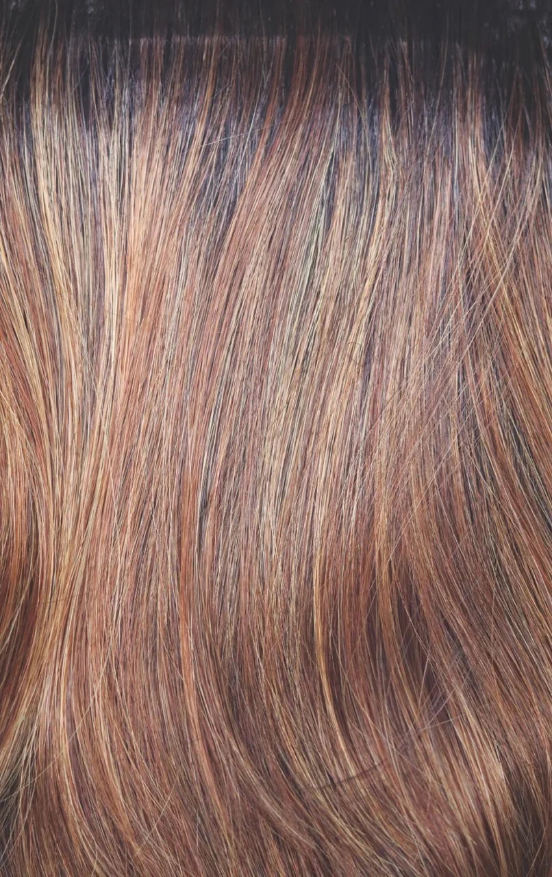 Phillipa Wig- 6549  The Orchid Collection
