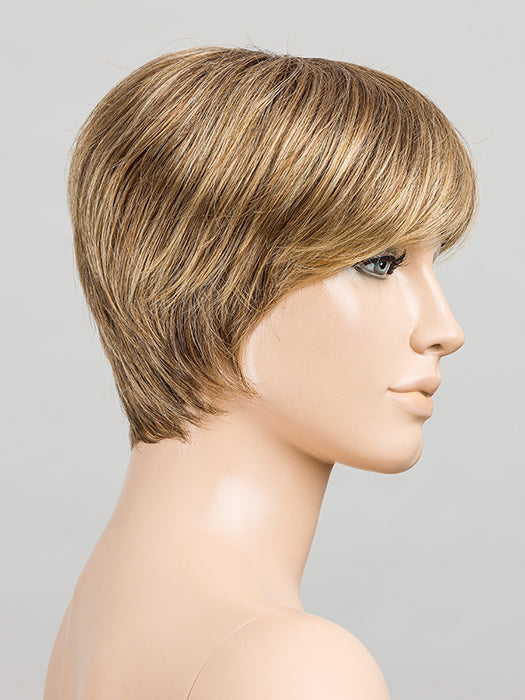 BERNSTEIN BERNSTEIN 12.26.19 | Lightest Brown and Light Golden Blonde with Light Honey Blonde Blend and Shaded Roots