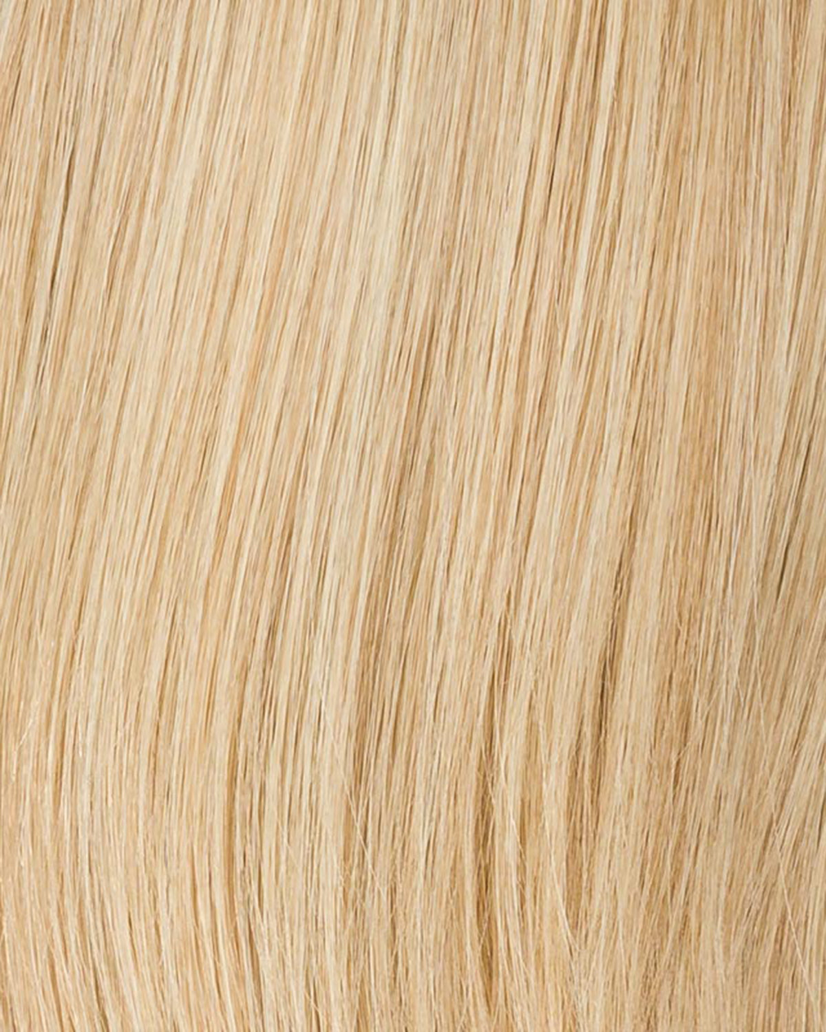 CHAMPAGNE ROOTED 22.26.16 | Light Neutral Blonde, Light Golden Blonde, and Medium Blonde Blend with Shaded Roots