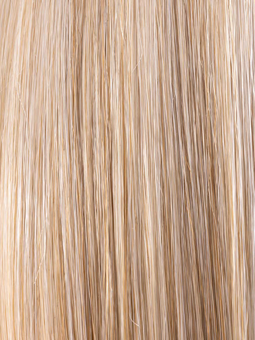 CHAMPAGNE ROOTED 24.15.15 | Lightest Ash Blonde and Lightest Golden Blonde with Light Ash Blonde Blend and Shaded Roots
